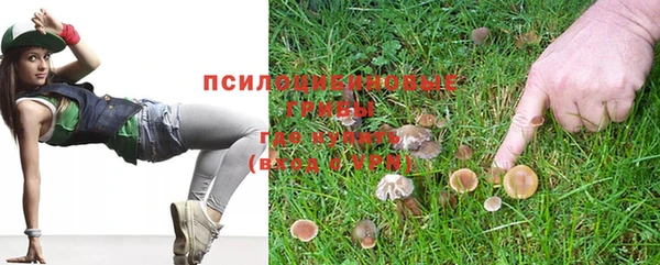 дживик Армянск