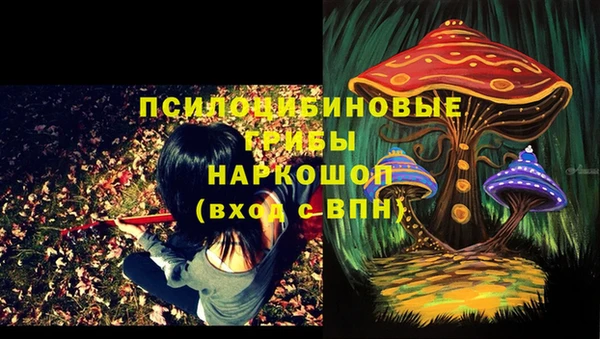 дживик Армянск