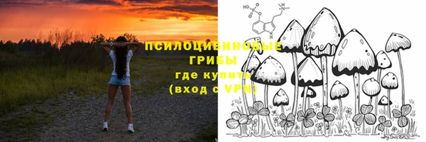 дживик Армянск